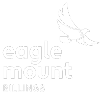 Eagle Mount Billings projects include website design